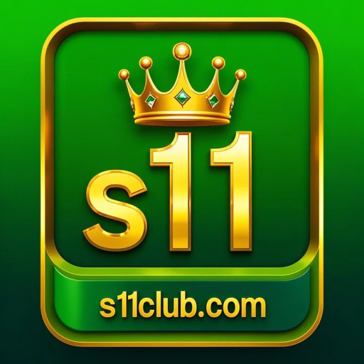 s11